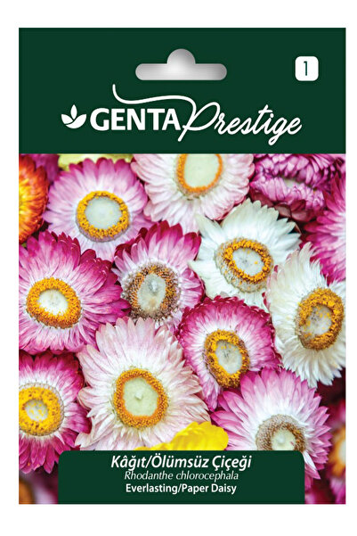 Genta Karışık Renkli Kağıt - Ölümsüz Çiçeği Tohumu