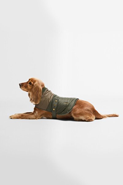 Barbour Brampton Kapitone Köpek Montu OL71 Olive/Khaki