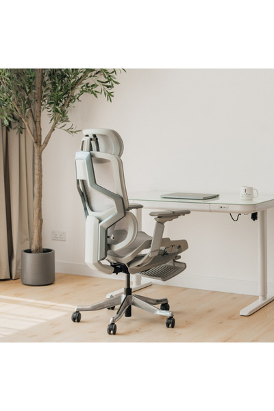 Skyland Ergonomic Office Chair - Mesh Design, 5D Armrests, Lumbar Support & Footrest (Grey)