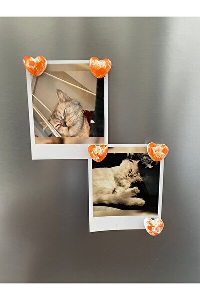 Home Turuncu Dalgalı 5'li Kalpli Magnet Seti – Fotoğraf ve Not Tutucu, Buzdolabı Süsü, Güçlü Mıknatıs