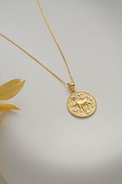 VeraDesignGold Astroloji Tutkunlarına Özel Boğa Burcu Altın Kolye-Boğa Burcu ...