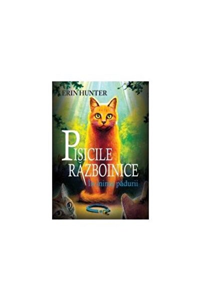 Editura All Pisicile razboinice. Cartea I. In inima padurii