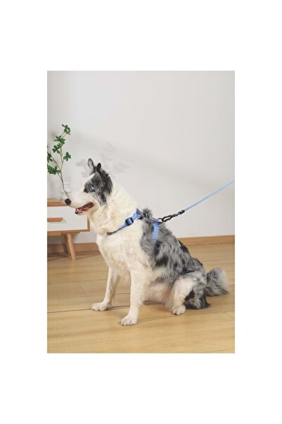 M-PETS GÖĞÜS TASMASI BLUE (M)