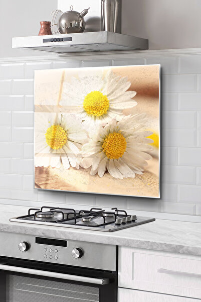 DreamHomes Kitchen Glass Stove Back Protector |   Daisy Pattern