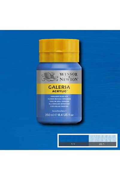 Winsor Newton Galeria Acrylic Multi-Color Paint Set for Creative Artwork