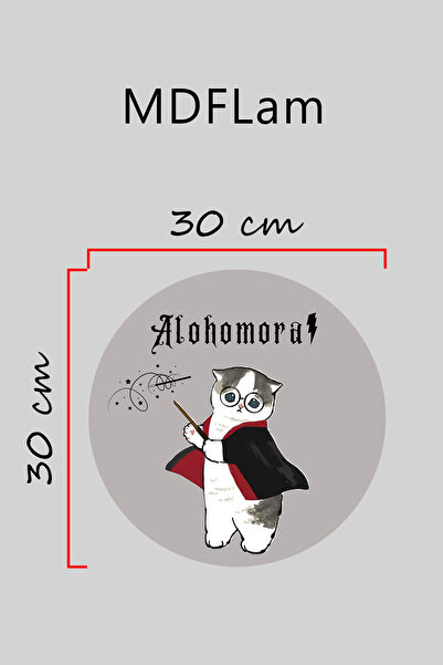 Dormot Digital Print Gray, Standard, Cat Alohomora Themed, Door Ornament, Wall Ornament