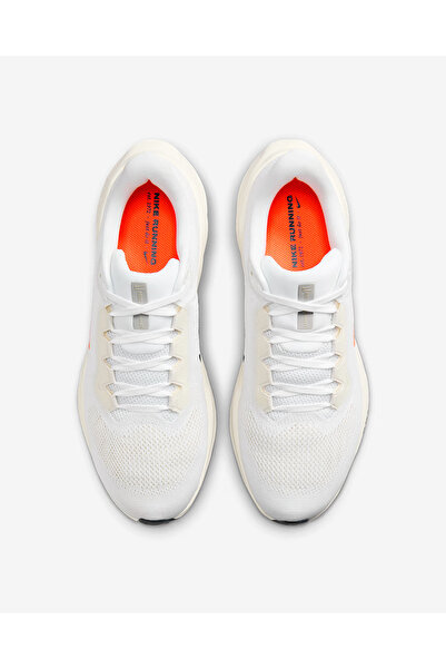 Nike Pegasus 41 "Prequel" HF4300-100