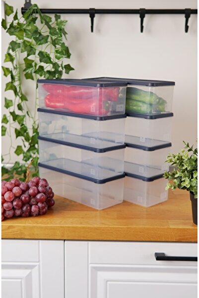 EVLE Deep Freezer Storage Container Set of 8 (8 X 1 Lt), Blue