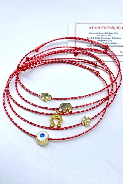 Concept HuBuTU Set of 5 Martenitska Wishing Bracelets with Gelatin and Lucky Evil Eye, Elephant, Fatima, Hamsa Figures