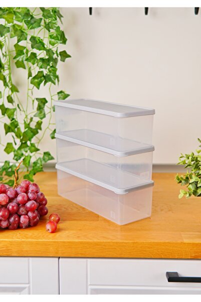 EVLE Deep Freezer Storage Container Set of 3 (3 X 2 Lt), Gray