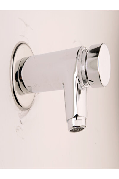 Topsan zaman ayarlı lavabo bataryası ( duvardan)