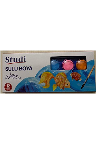 Studi Sulu Boya 12 Renk