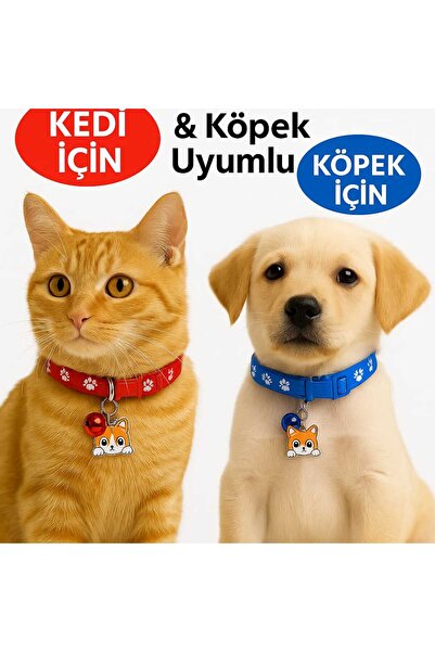 shop Minik Dostlar Renk Seçmeli Pati Desenli Çanlı Yavru Kedi ve Köpek Tasması