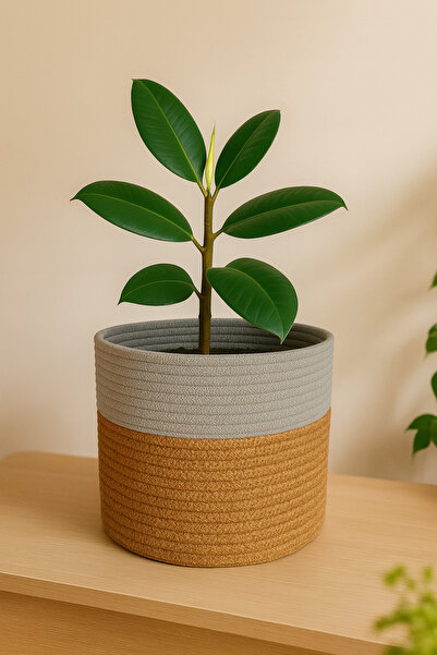 Efuliz Home Coș multifuncțional din iută-răchită, decorativ, organizator albastru cobalt i, coș organizator pentru grădină. (Lățime: 25-Căptușeală: 20 cm)