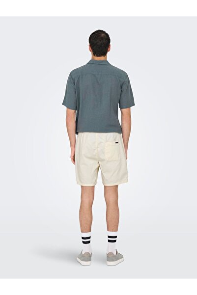 Only & Sons Shorts ONSTEL Normal geschnitten Shorts