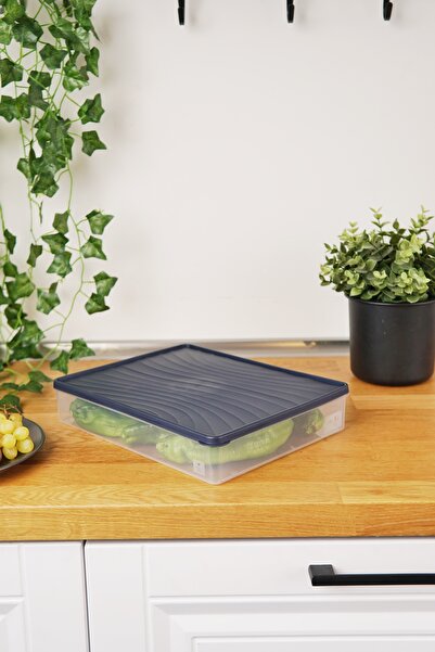 EVLE Deep Freezer Storage Container 3 L, Blue