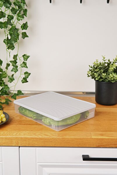 EVLE Deep Freezer Storage Container 3 L, Gray