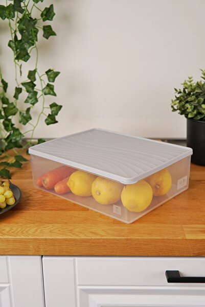 EVLE Deep Freezer Storage Container 5 L, Gray