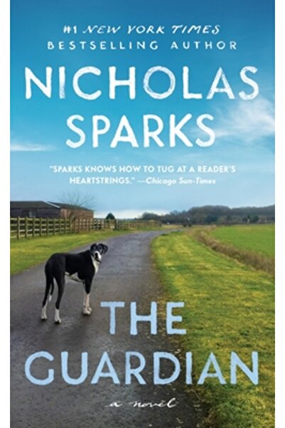 Grand Central Publ The Guardian