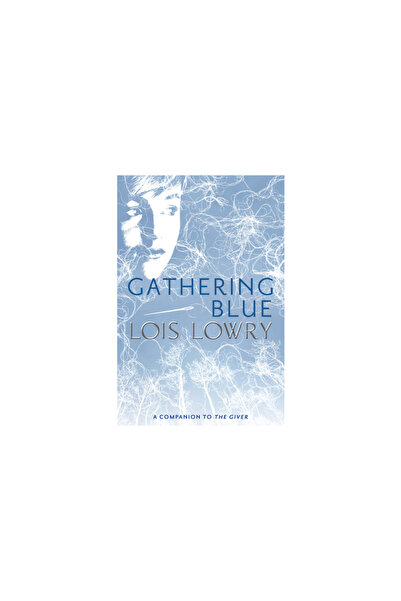 Houghton Mifflin Gathering Blue