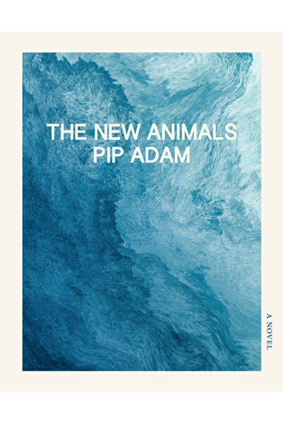 Dorothy A Pub Project The New Animals