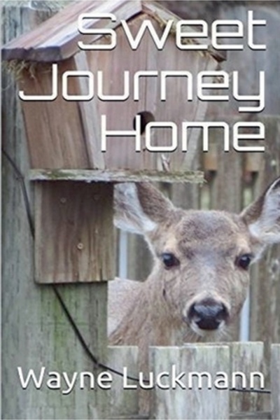 Cristina Dovan Sweet Journey Home