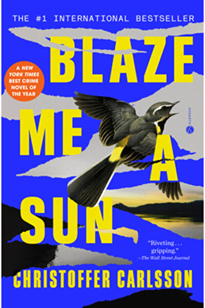 Hogarth Pr Blaze Me a Sun: A Novel about a Crime