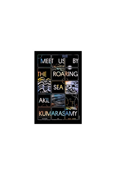 Picador Meet Us by the Roaring Sea