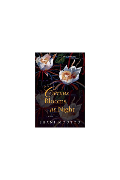 Grove Press Cereus Blooms at Night