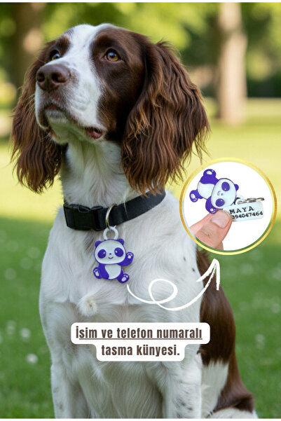 İsime Özel Zilli , Çıngıraklı Kedi Ve Köpek Künyesi Ve Kolyesi ( 2. Resmi Okuyun )