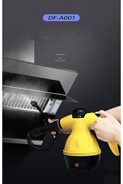 Generic Steam cleaner DF-A001 hand held steam cleaner JAPAN TECHNOLOGY. 1000 watt