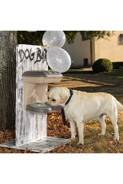 Bama Duvara Asılan Mama Standı Yeşil Renk 48x27x42h