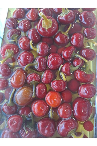 TAT-AL Gedelek turşucusu Kiraz biberi turşusu