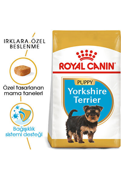 Royal Canin Yorkshire Terrier Junior Yavru Köpek Maması 1.5 Kg