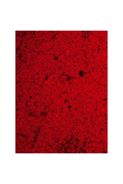 OEM Self-Adhesive PVC Wallpaper, Abstract Tree Bark Red Wood, 200 x 300 cm