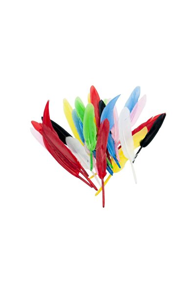 Genel Markalar Hkd Kuş Tüyü 16cm 12 li HKD-108