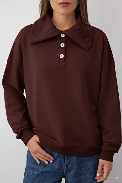 Trendyol Collection Wardrobe Essentials – Brown Polo Neck Knitted Sweatshirt |   Twoaw26Sw000410