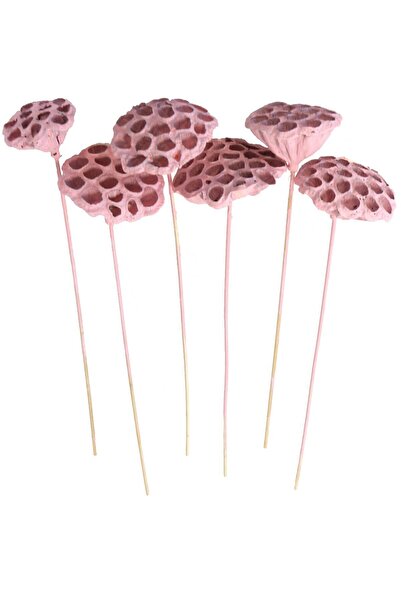 Yapay Çiçek Deposu Succulent Lotus Plant Gerçek Lotus Çiçeği Bambu Saplı 6 Ad...
