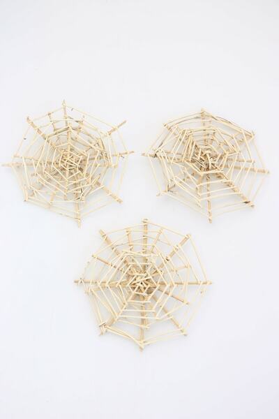 Yapay Çiçek Deposu 3-pack Tropic Lata Web