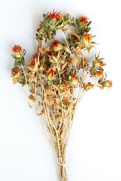 Yapay Çiçek Deposu Kuru Çiçek Kartamus Naturel