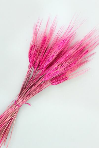 Yapay Çiçek Deposu Pachetul Dry Spike Fuchsia
