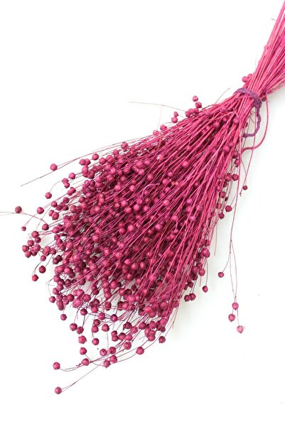 Yapay Çiçek Deposu 60 г сушени цветя Мюрдем Луна Лен