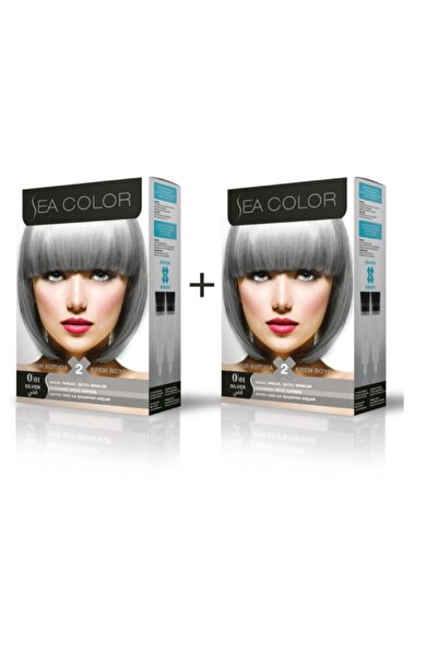 Sea Color 0.01 Füme Gri Set Boya 2 Kutu