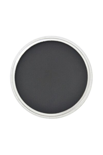 Panpastel Black No:800.5 Model Black Fan Belts