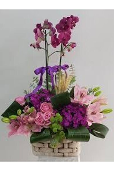 Köy Tohumları 10 Adet Tohum Soğan Değildir Nadir Karışık Orkide Çiçeği Tohumu...