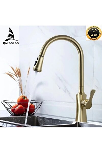 OEM Matte Gold Fountain Spiral Kitchen Sink Faucet - Double Flow Adjustable