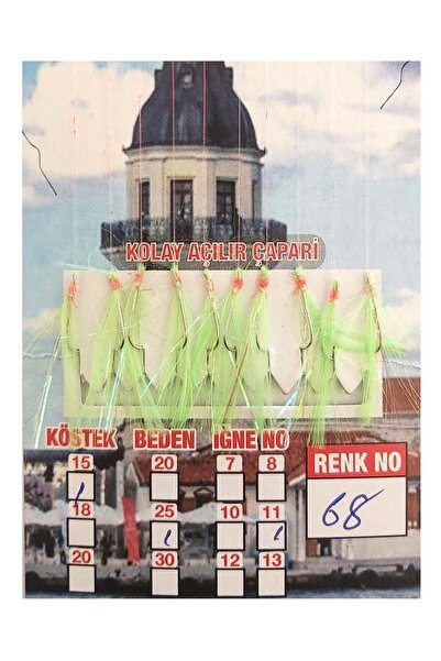 CAPTAINN ÇAPARİ İSTAVRİT KOLAY AÇILIR 10 İĞNE RENK 68