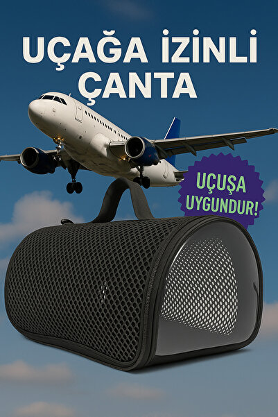 AlaPet Kedi ve Köpek Taşıma Çantası (Uçak İzinli) 10 Kg (42x31x24 Cm) Kedi Ça...