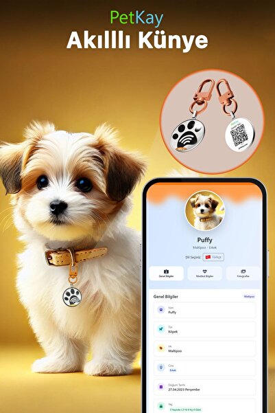 petkay Köpekler Için Akıllı Künye, Nfc Dijital Isimlik Tasma Künyesi Qr Kod Künye Paslanmaz Çelik Turuncu