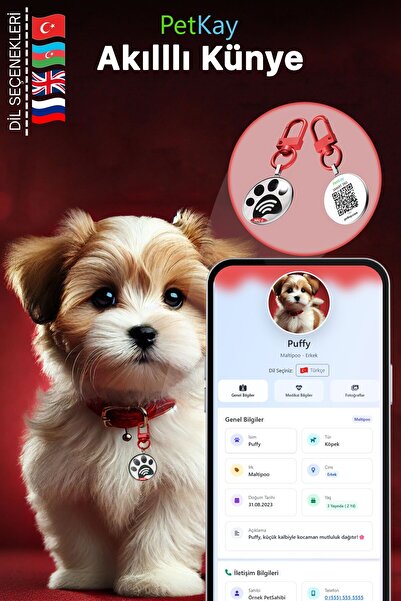 petkay Köpekler Için Akıllı Künye, Nfc Dijital Isimlik Tasma Künyesi Qr Kod Künye Paslanmaz Çelik Kırmızı